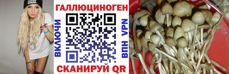 Псилоцибиновые грибы мицелий Берёзовка