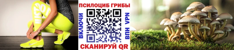 купить  сайты  Берёзовка  Галлюциногенные грибы Cubensis 